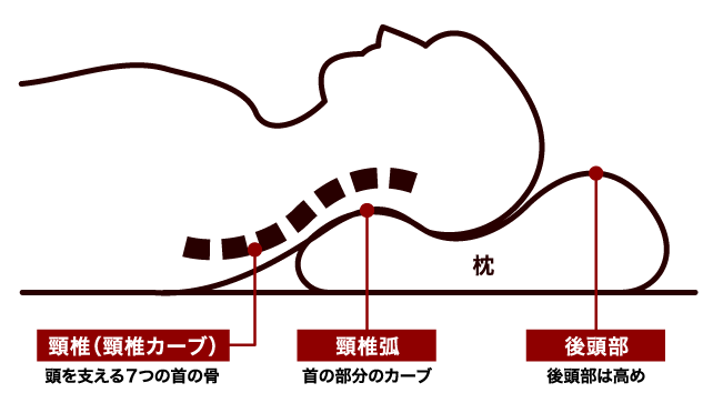 自分に合ったまくらの高さと素材合わせ。睡眠負債解消のために。