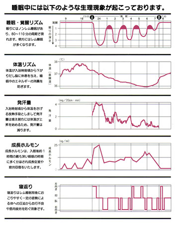 睡眠のメカニズム講演依頼承っております。